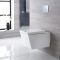 Milano Dalton - White Modern Wall Hung Toilet with Tall Wall Frame - Choice of Flush Plate