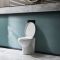 Milano Select - Modern Oval Back to Wall Toilet with Soft Close Seat