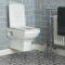 Milano Sandringham - Traditional Wall Hung Toilet with Soft Close Seat