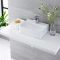 400x295 Ceramic Wall Hung Counter Top Basin