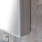 Milano Amelia - Modern LED Mirrored Cabinet - 600mm x 750mm