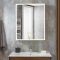 Milano Amelia - Modern LED Mirrored Cabinet - 600mm x 750mm