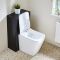 Milano Lurus - Modern 500mm WC Unit with Longton Toilet - Choice of Finish