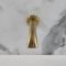Milano Elizabeth - Traditional Wall Mounted Bath Spout - Brushed Brass
