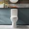 Milano Select - White Modern High Rise Disabled Doc M WC Toilet and Cistern