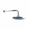 RAK Washington - Chrome Traditional Shower Head and Wall Arm