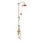 Milano Elizabeth - Brushed Brass Traditional Triple Exposed Thermostatic Shower with Grand Rigid Riser Rail and Wall Spout (3 Outlet)