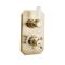 Milano Elizabeth - Brushed Brass Traditional Thermostatic Shower with Diverter, Shower Head, Hand Shower and Riser Rail (2 Outlet)