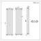 Milano Windsor - Vertical Traditional Column Radiator - 4 Column - 1800mm x 470mm - Anthracite
