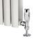 Milano - Chrome Radiator Valve With Chrome TRV - 15mm Copper Adapters