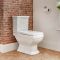 Milano Sandringham - Traditional Close Coupled Toilet and Pedestal Basin Set