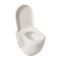 Milano Irwell - White Modern Rimless Wall Hung Toilet with Short Wall Frame - Choice of Flush Plate