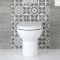 Milano Irwell - Modern Round Back to Wall Toilet with Soft Close Seat