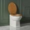 Milano Richmond - Traditional Back to Wall Toilet and Seat - Choice of Finish and Seat