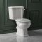 Milano Richmond - Traditional Close Coupled Toilet with Cistern and Seat - Choice of Finish and Seat