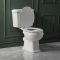 Milano Richmond - Traditional Close Coupled Toilet with Cistern and Seat - Choice of Finish and Seat