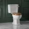 Milano Richmond - Traditional Close Coupled Toilet with Cistern and Seat - Choice of Finish and Seat