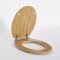 Milano Richmond - Traditional Oak Soft Close Toilet Soft Close Seat with Brushed Gold Hinges