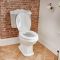 Milano Windsor - Traditional Close Coupled Toilet and 3 Tap-Hole Pedestal Basin Set