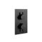 Milano Nero - Twin Thermostatic Diverter Shower Valve - Two Outlets - Black