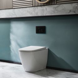 Milano Luxus - Back to Wall Japanese Bidet Toilet